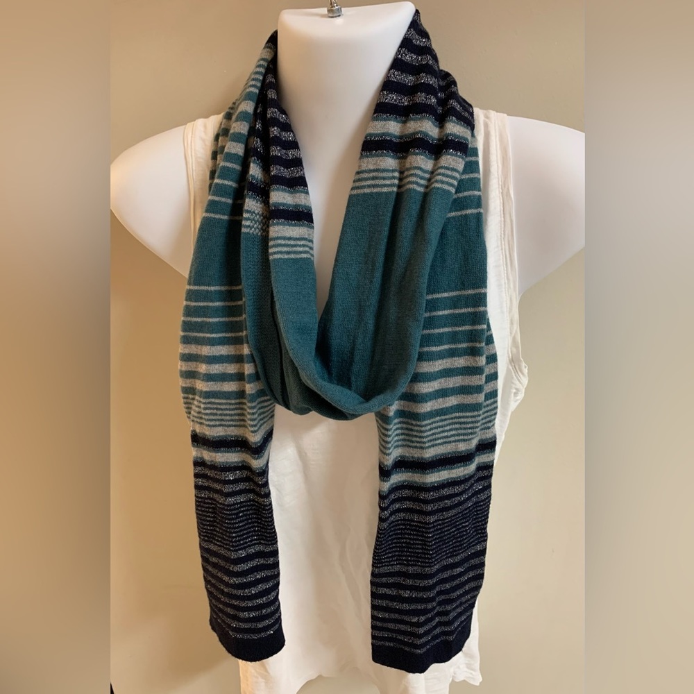 Talbots Striped Scarf with Silver Accent